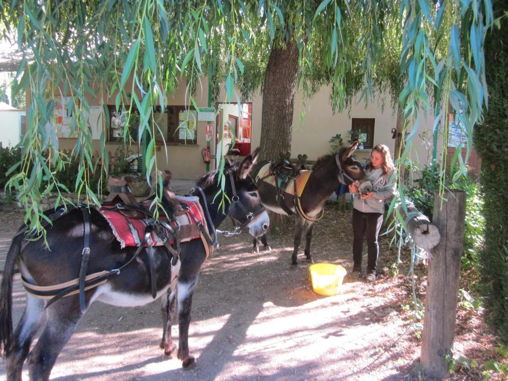 Le Vallon Ispagnac Zewnętrze zdjęcie